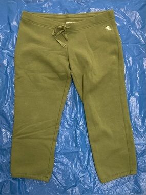 💚🌟💚Express Olive Green Fleece Capri Joggers/Lounge Pants with Drawstring